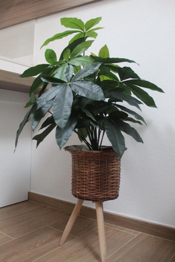 קליארי Home Viale Trento 16 מראה חיצוני תמונה